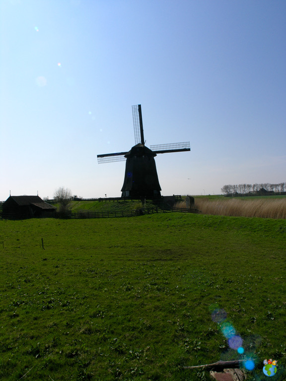 Molen foto's - Windmill pictures