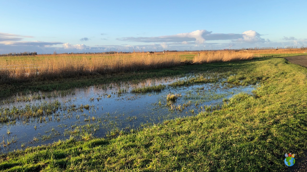02.2019 - 25-12 - Eilandspolder   002