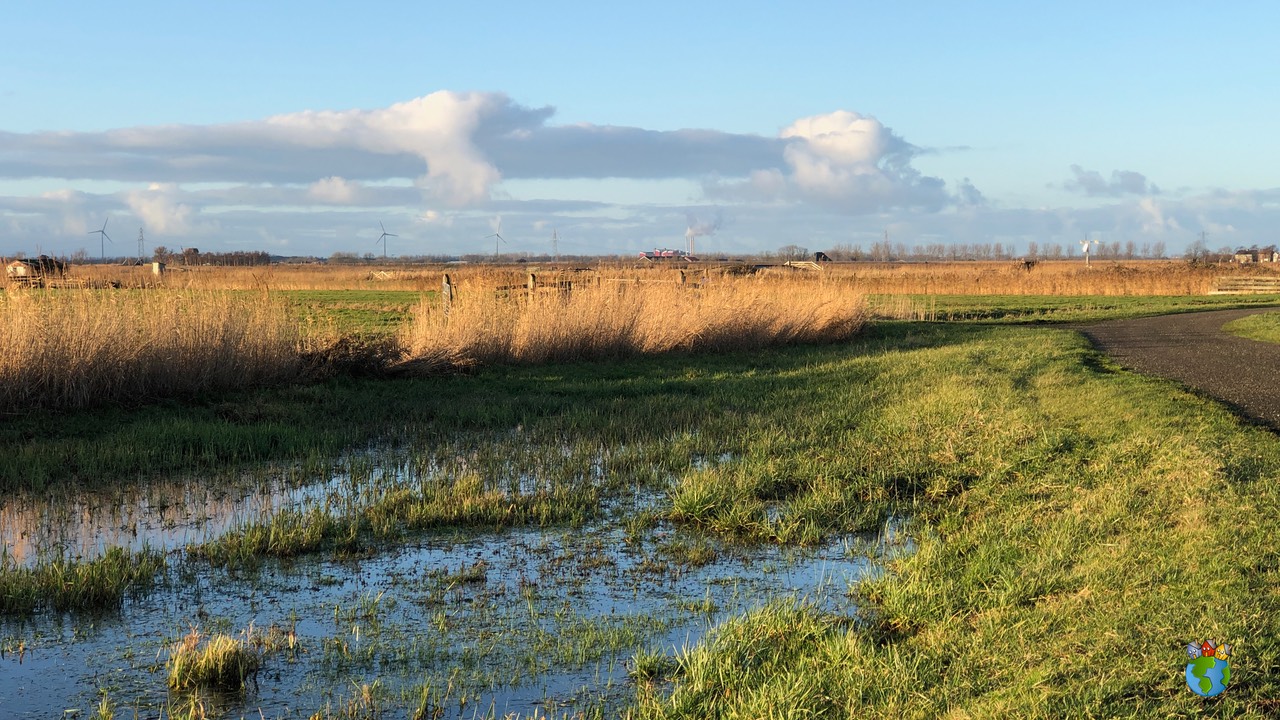 03.2019 - 25-12 - Eilandspolder   003