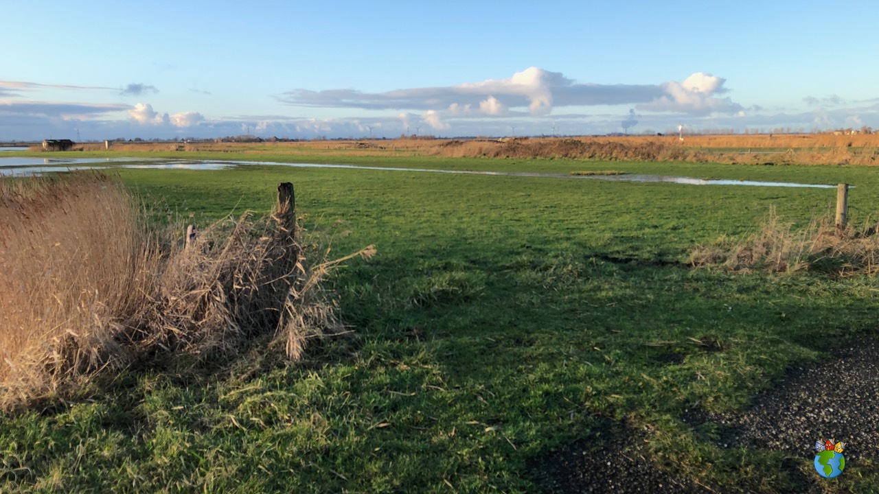 07.2019 - 25-12 - Eilandspolder   007