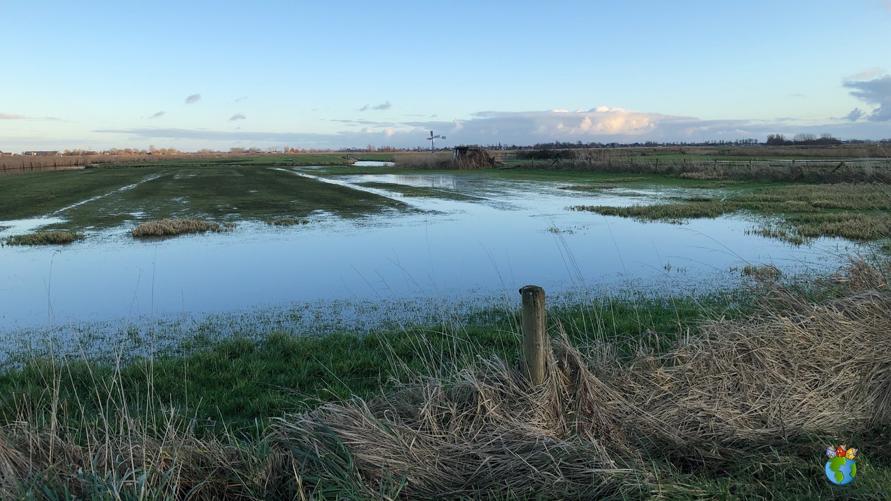 10.2019 - 25-12 - Eilandspolder   010