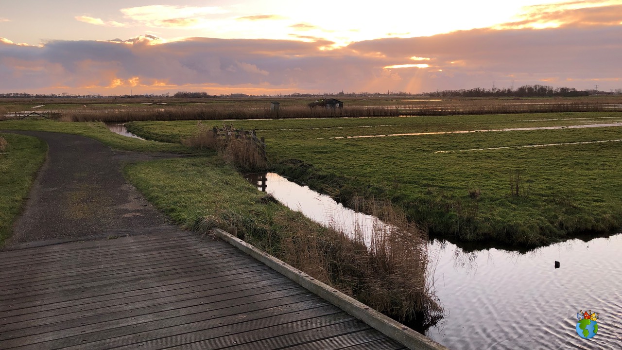 15.2019 - 25-12 - Eilandspolder   015