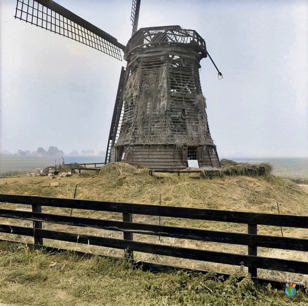 15.Bovenmolen G - Noorderring Schermer - Verbrand - Ingekleurd    15