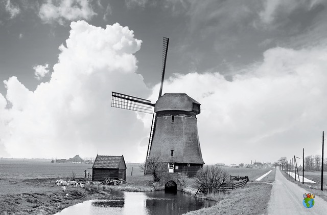 1.Schermer Molens - Noorderring - Ondermolen O 2.02 - Zwart Wit - High Res