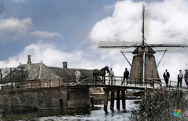 2.Schermer Molens - Oterleek - Korenmolen De Otter 3.05 - 3.03-Ingekleurd - High Res