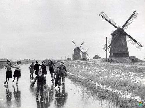 3hzn.nl - Molens - Winter
