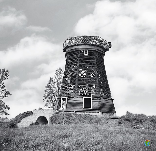 Eilandspolder - Molen de Havik  05 