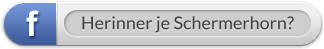 FB - Herinner je Schermerhorn 