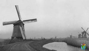 Foto's Schermer Molens - Zuiderring Oostdijk - Schermer - 2 - Watermark