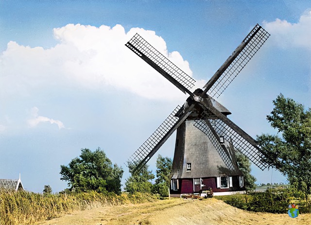 Molen de Havik - na restauratie 2