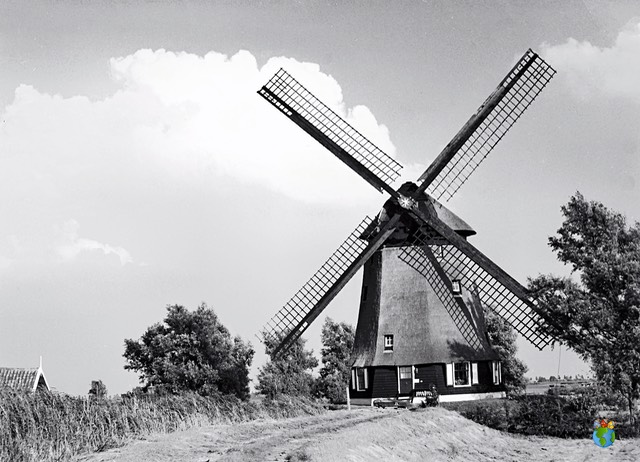 Molen de Havik - na restauratie 1