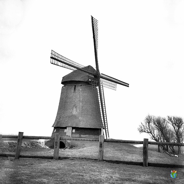 Poldermolen M WM 3Hzn